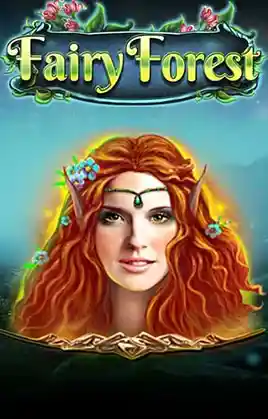Fairy Forest