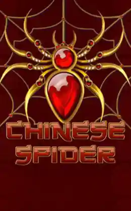 Chinese Spider