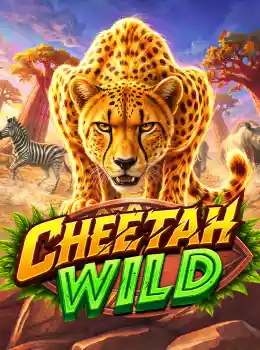 Cheetah Wild