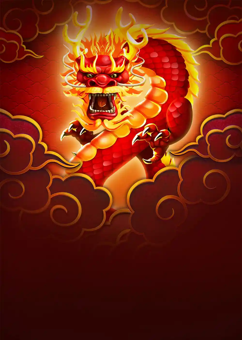 Dragon 8s 25x