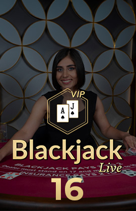 Blackjack VIP 16