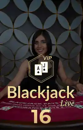 Blackjack VIP 16