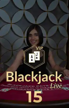 Blackjack VIP 15