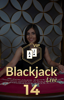 Blackjack VIP 14