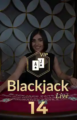 Blackjack VIP 14