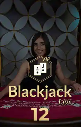 Blackjack VIP 12