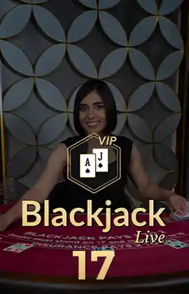 Blackjack VIP 17