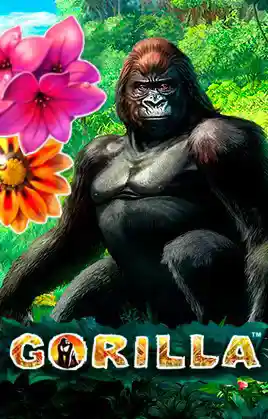 Gorilla Slot by Novomatic